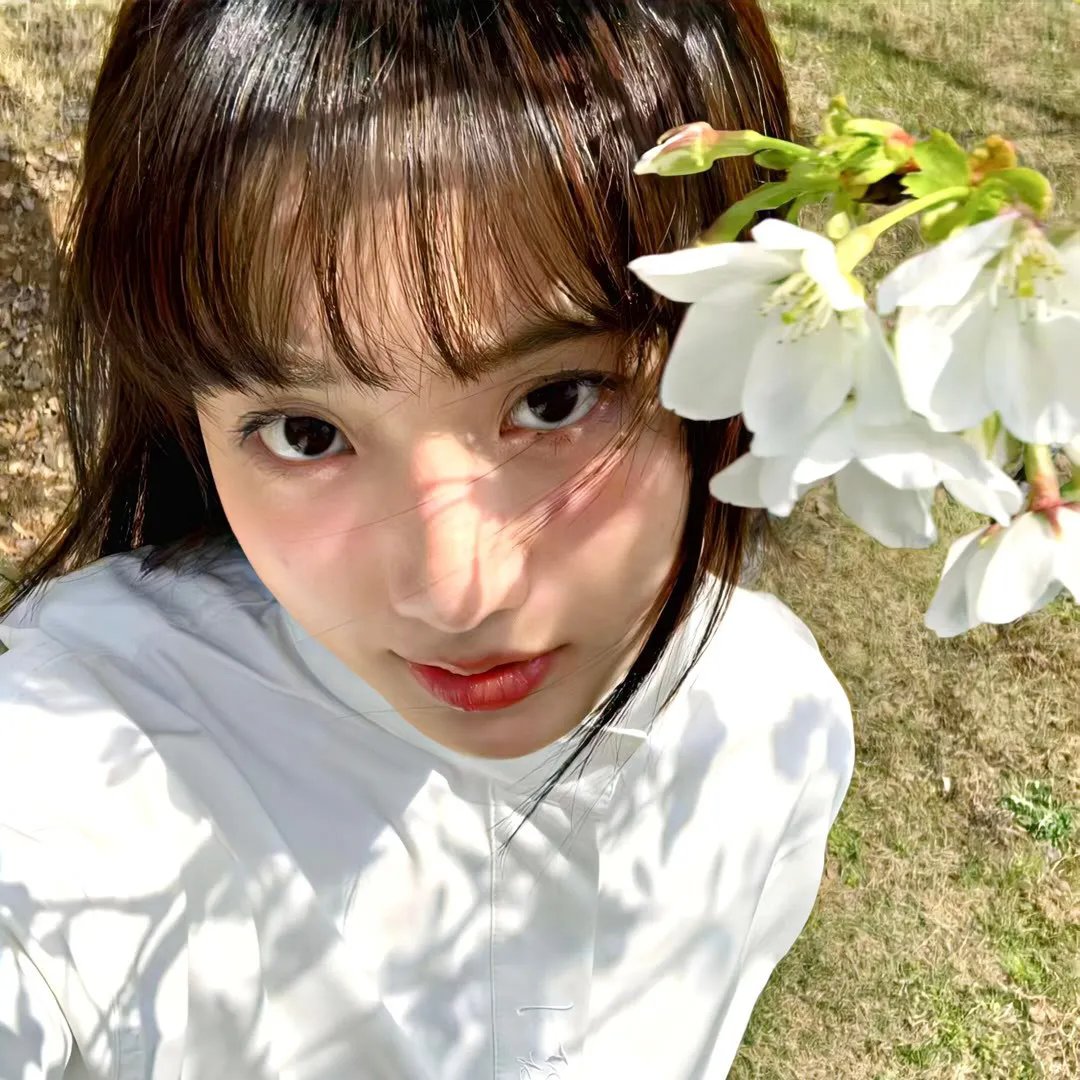 玫瑰
