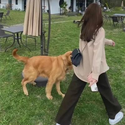 家用摄像头海报
